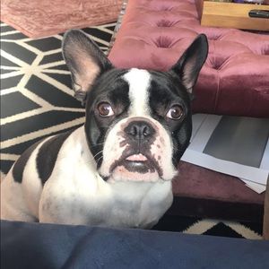 Meet your Posher, Lindsey